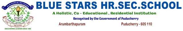 Bluestars School